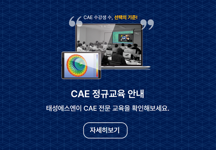 CAE 정규교육